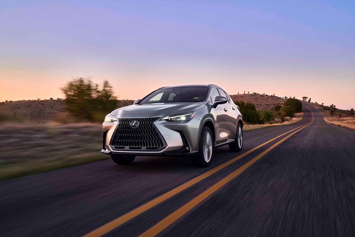 How Much Is The 2026 Lexus NX Cars How Much Is The 2026 Lexus NX Cars